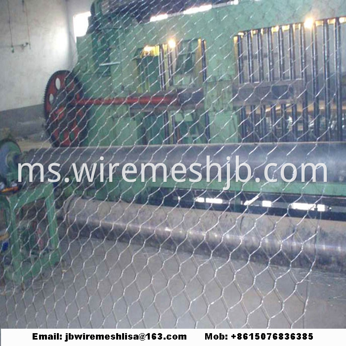 Galvanized Hexagonal Wire Netting